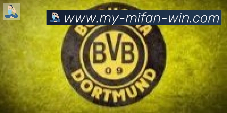 秘饭直播合作伙伴